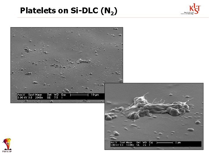Platelets on Si-DLC (N 2) 