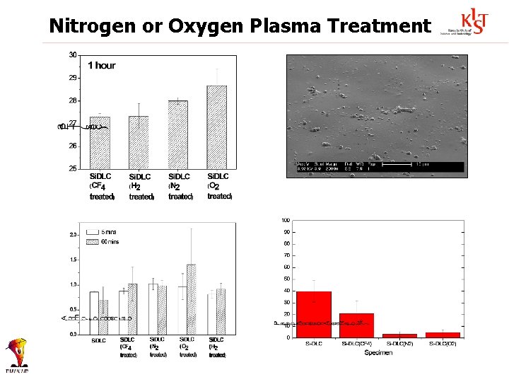 Nitrogen or Oxygen Plasma Treatment 