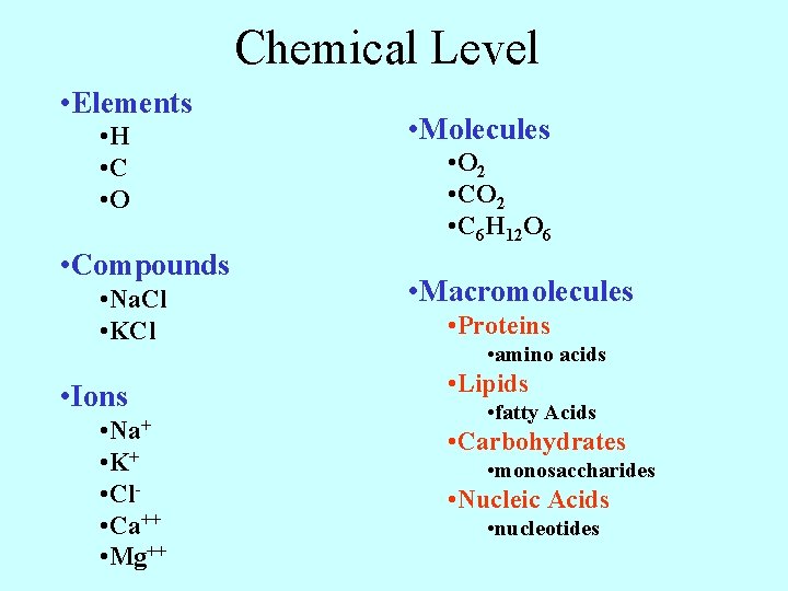Chemical Level • Elements • H • C • O • Compounds • Na.