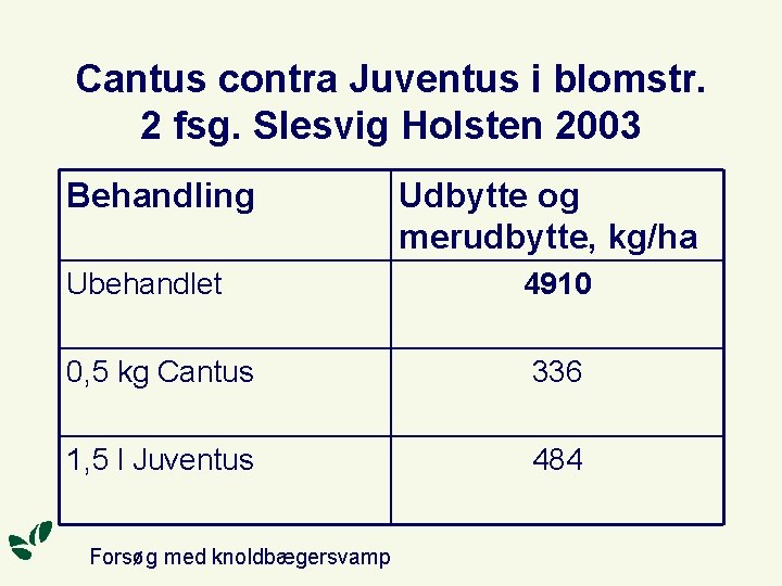 Cantus contra Juventus i blomstr. 2 fsg. Slesvig Holsten 2003 Behandling Udbytte og merudbytte,