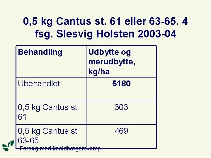 0, 5 kg Cantus st. 61 eller 63 -65. 4 fsg. Slesvig Holsten 2003