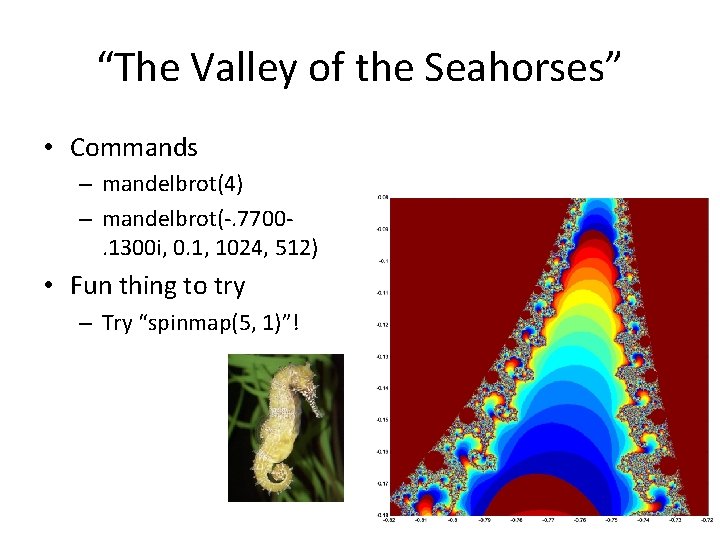 “The Valley of the Seahorses” • Commands – mandelbrot(4) – mandelbrot(-. 7700. 1300 i,