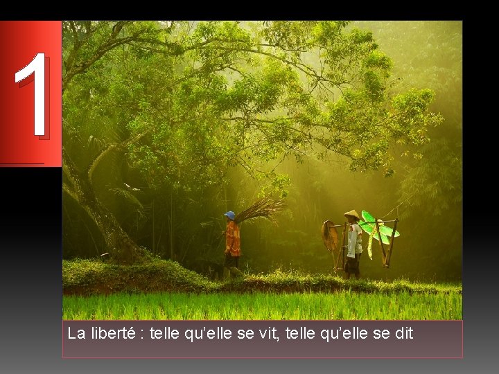 1 La liberté : telle qu’elle se vit, telle qu’elle se dit 