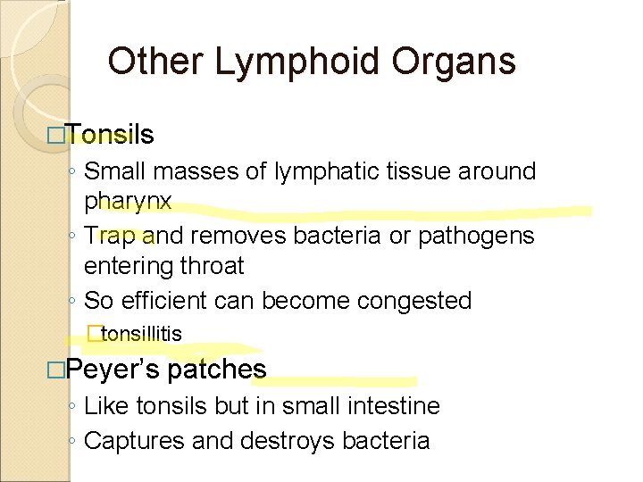 Other Lymphoid Organs �Tonsils ◦ Small masses of lymphatic tissue around pharynx ◦ Trap