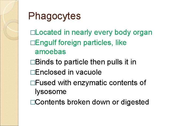 Phagocytes �Located in nearly every body organ �Engulf foreign particles, like amoebas �Binds to