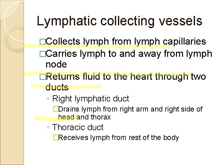 Lymphatic collecting vessels �Collects lymph from lymph capillaries �Carries lymph to and away from