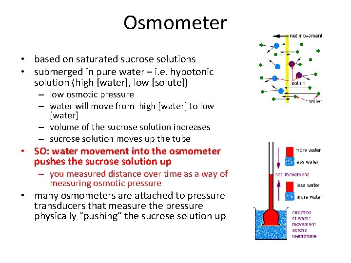 Osmometer • based on saturated sucrose solutions • submerged in pure water – i.