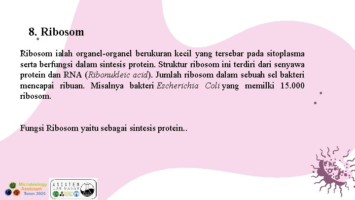 8. Ribosom ialah organel-organel berukuran kecil yang tersebar pada sitoplasma serta berfungsi dalam sintesis