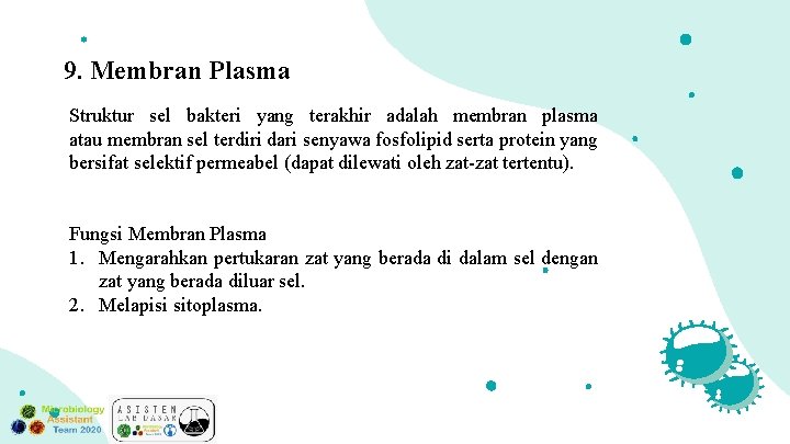 9. Membran Plasma Struktur sel bakteri yang terakhir adalah membran plasma atau membran sel