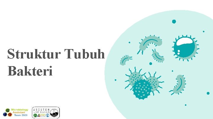 Struktur Tubuh Bakteri 