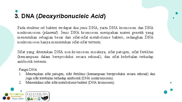3. DNA (Deoxyribonucleic Acid) Pada struktur sel bakteri terdapat dua jenis DNA, yaitu DNA