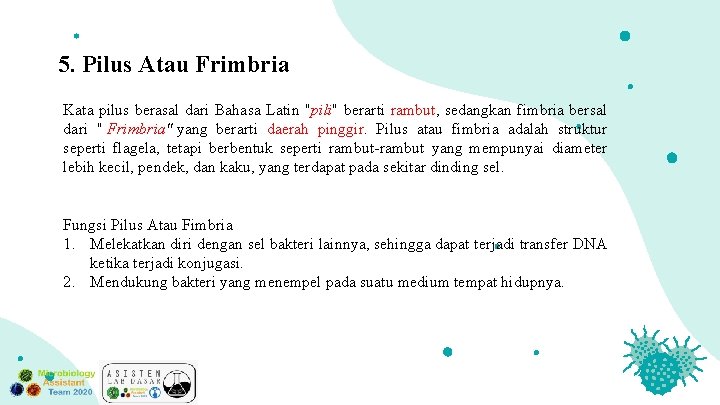 5. Pilus Atau Frimbria Kata pilus berasal dari Bahasa Latin "pili" berarti rambut, sedangkan