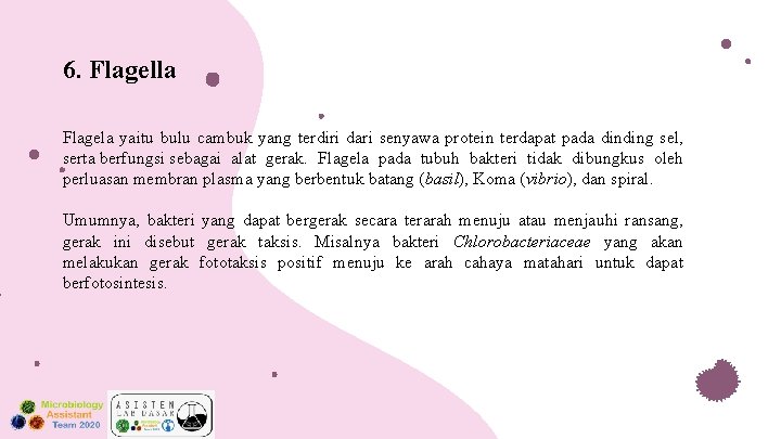 6. Flagella Flagela yaitu bulu cambuk yang terdiri dari senyawa protein terdapat pada dinding