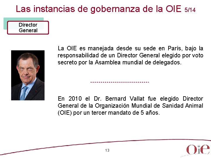 Las instancias de gobernanza de la OIE 5/14 Director General La OIE es manejada