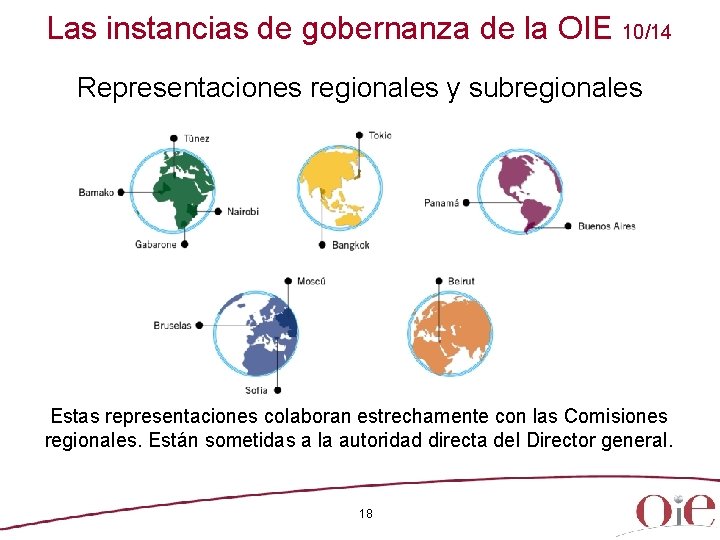 Las instancias de gobernanza de la OIE 10/14 Representaciones regionales y subregionales Estas representaciones