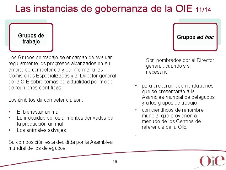 Las instancias de gobernanza de la OIE 11/14 Grupos de trabajo Grupos ad hoc