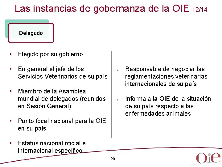 Las instancias de gobernanza de la OIE 12/14 Delegado • Elegido por su gobierno