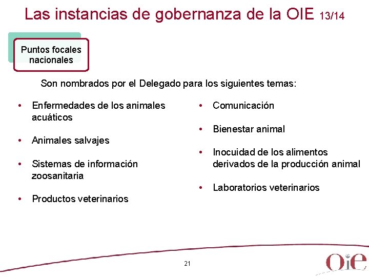 Las instancias de gobernanza de la OIE 13/14 Puntos focales nacionales Son nombrados por