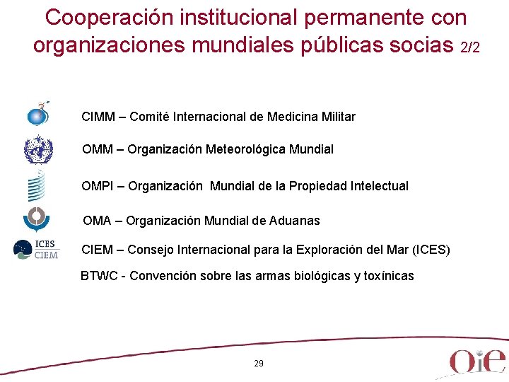 Cooperación institucional permanente con organizaciones mundiales públicas socias 2/2 CIMM – Comité Internacional de