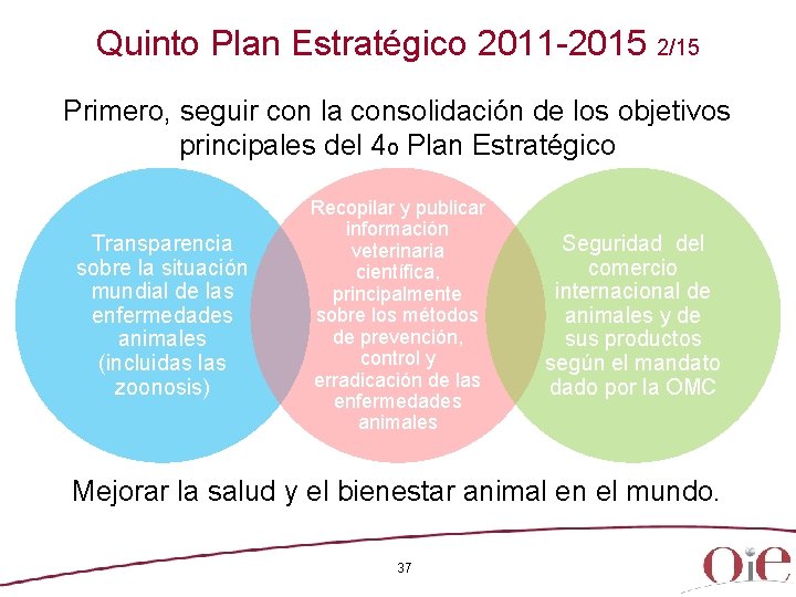 Quinto Plan Estratégico 2011 -2015 2/15 Primero, seguir con la consolidación de los objetivos