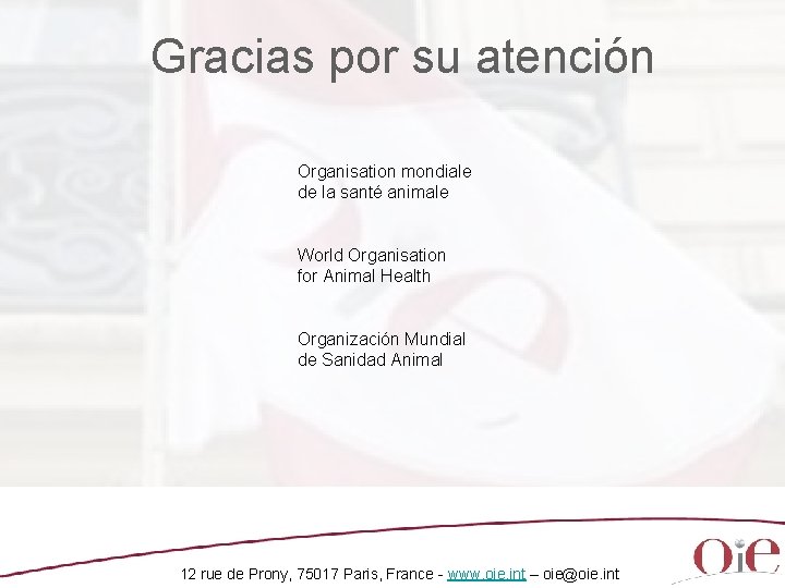 Gracias por su atención Organisation mondiale de la santé animale World Organisation for Animal