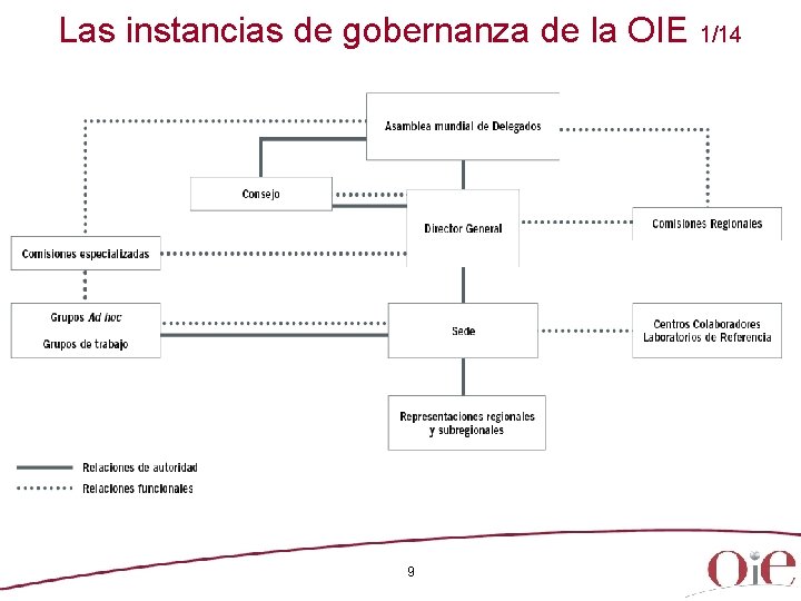 Las instancias de gobernanza de la OIE 1/14 9 
