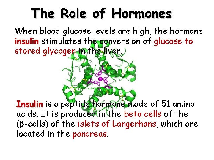 The Role of Hormones When blood glucose levels are high, the hormone insulin stimulates The Role of Hormones When blood glucose levels are high, the hormone insulin stimulates