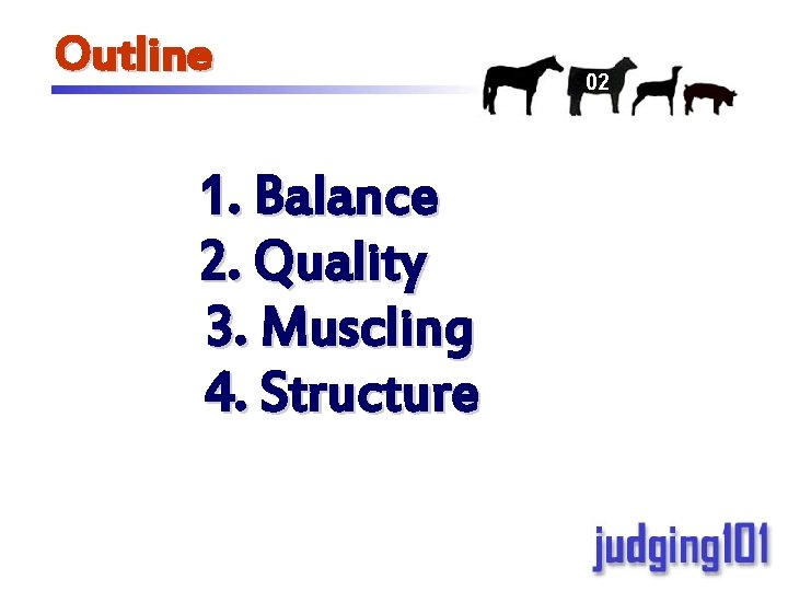 Outline 1. Balance 2. Quality 3. Muscling 4. Structure 02 