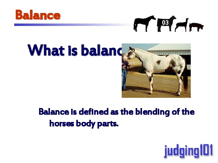 01 Judging Conformation in Horses Outline 1 Balance