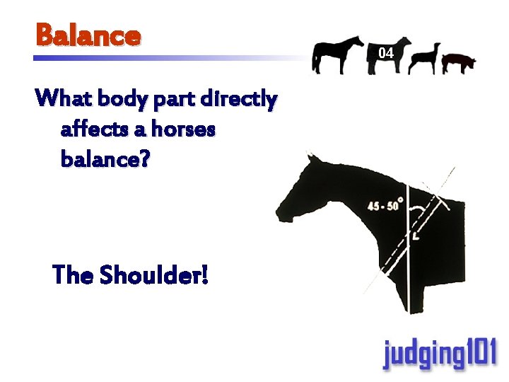 01 Judging Conformation in Horses Outline 1 Balance