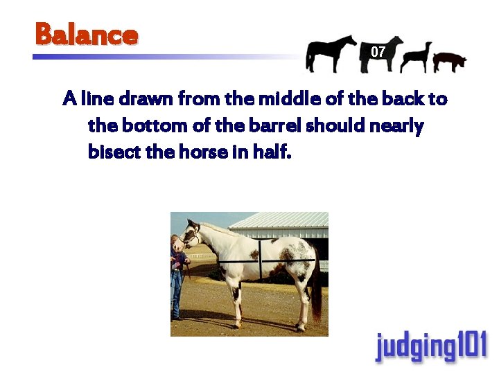 Balance 07 A line drawn from the middle of the back to the bottom