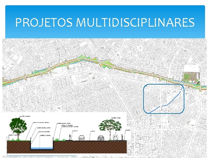 PROJETOS MULTIDISCIPLINARES 