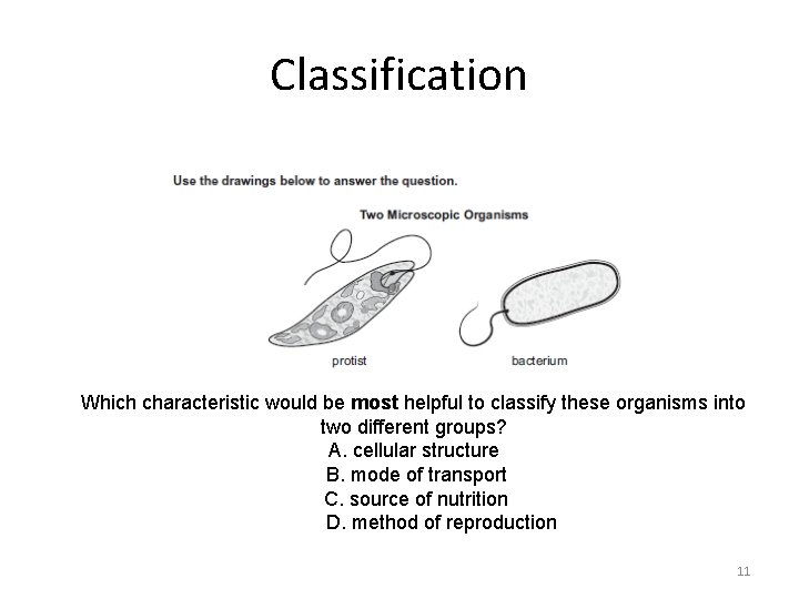 Classification Which characteristic would be most helpful to classify these organisms into two different