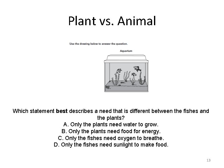 Plant vs. Animal Which statement best describes a need that is different between the