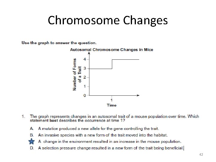 Chromosome Changes 42 