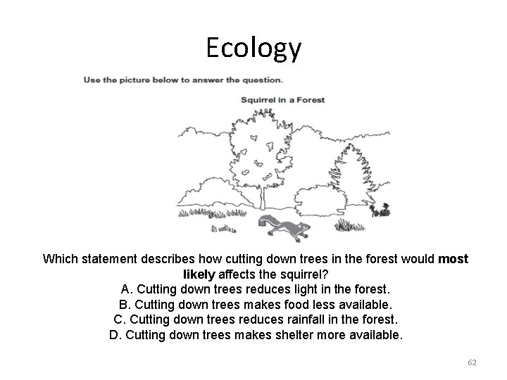 Ecology Which statement describes how cutting down trees in the forest would most likely
