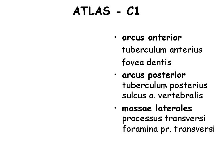 ATLAS - C 1 • arcus anterior tuberculum anterius fovea dentis • arcus posterior