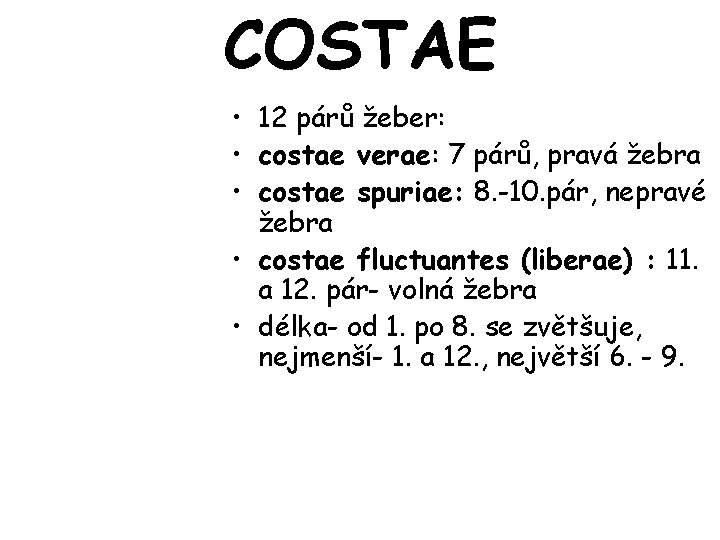 COSTAE • 12 párů žeber: • costae verae: 7 párů, pravá žebra • costae