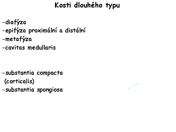 Kosti dlouhého typu -diafýza -epifýza proximální a distální -metafýza -cavitas medullaris -substantia compacta (corticalis)