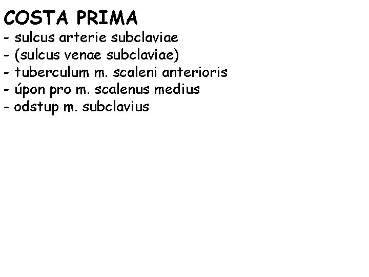 COSTA PRIMA - sulcus arterie subclaviae - (sulcus venae subclaviae) - tuberculum m. scaleni