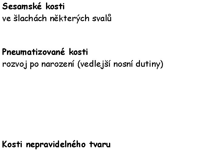 Sesamské kosti ve šlachách některých svalů Pneumatizované kosti rozvoj po narození (vedlejší nosní dutiny)