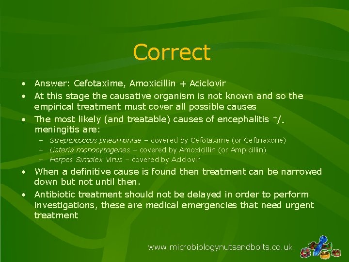 Correct • Answer: Cefotaxime, Amoxicillin + Aciclovir • At this stage the causative organism
