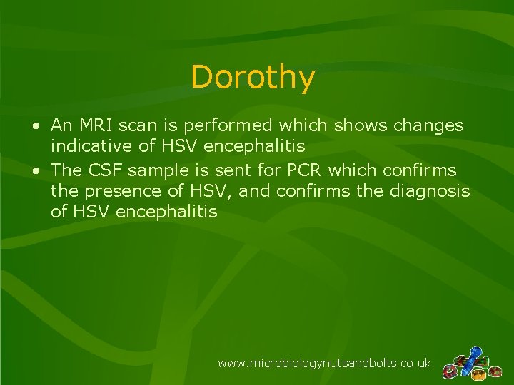 Dorothy • An MRI scan is performed which shows changes indicative of HSV encephalitis