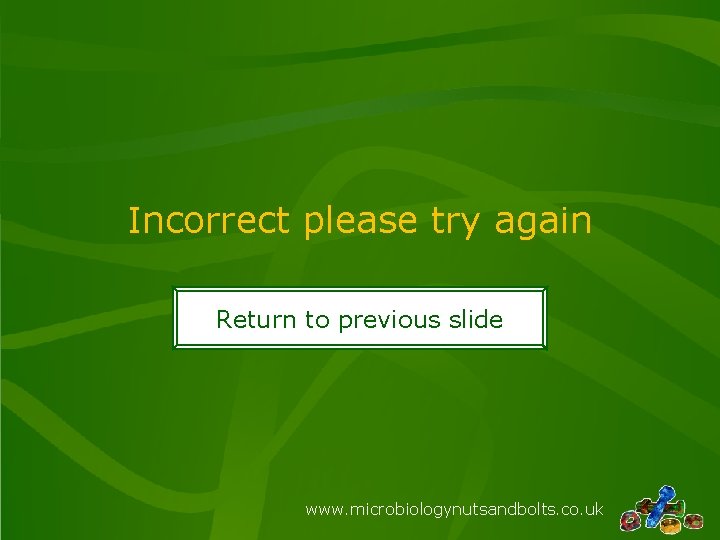 Incorrect please try again Return to previous slide www. microbiologynutsandbolts. co. uk 