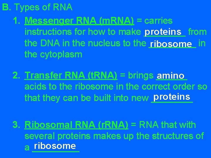 B. Types of RNA 1. Messenger RNA (m. RNA) = carries proteins from instructions