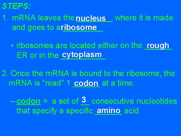 STEPS: 1. m. RNA leaves the nucleus ____ where it is made and goes