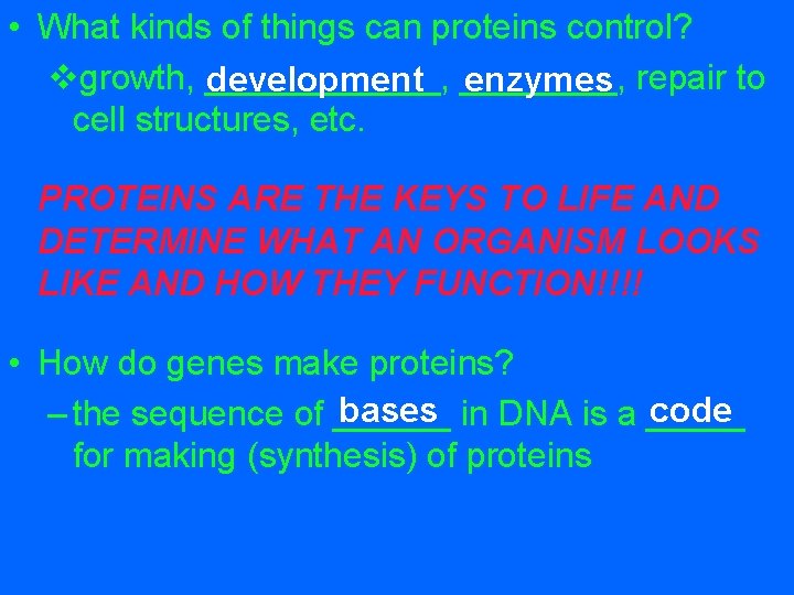  • What kinds of things can proteins control? vgrowth, ______, development ____, enzymes