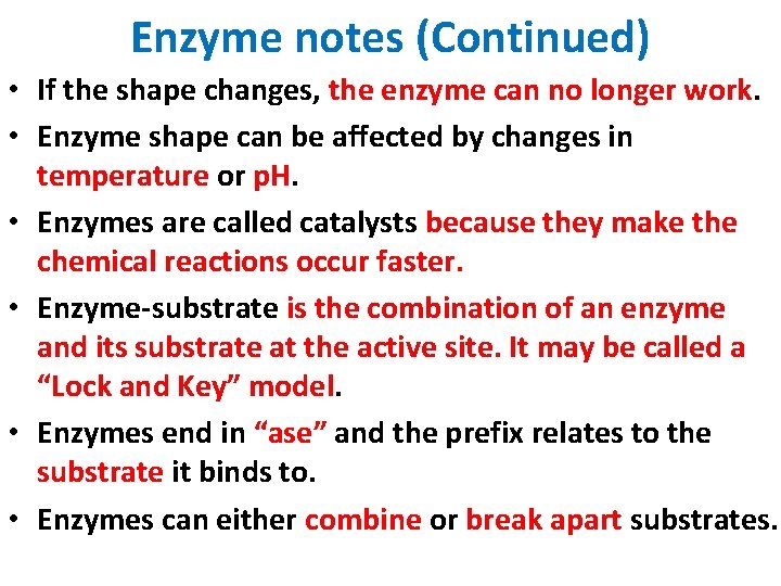 Enzyme notes (Continued) • If the shape changes, the enzyme can no longer work.