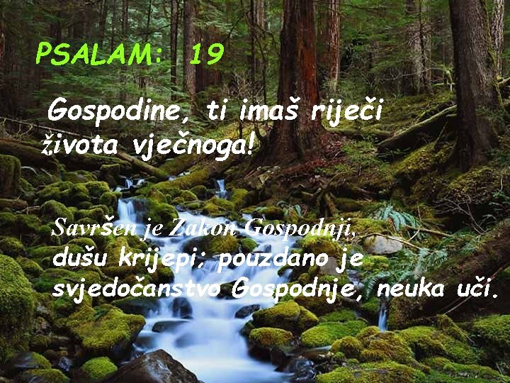 PSALAM: 19 Gospodine, ti imaš riječi života vječnoga! Savršen je Zakon Gospodnji, dušu krijepi;