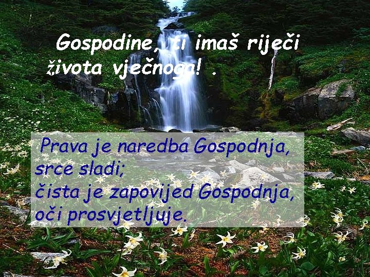Gospodine, ti imaš riječi života vječnoga!. Prava je naredba Gospodnja, srce sladi; čista je